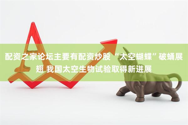 配资之家论坛主要有配资炒股 “太空蝴蝶”破蛹展翅 我国太空生物试验取得新进展
